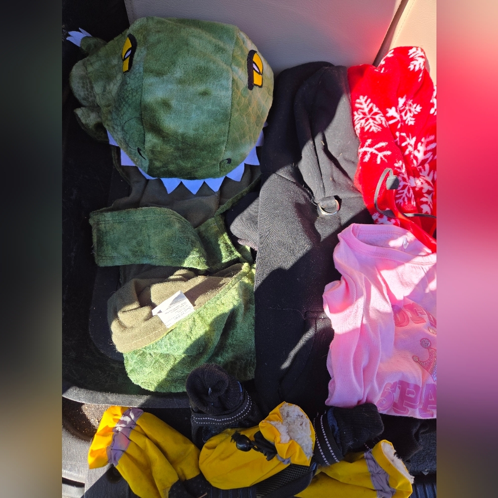 Dog Haul